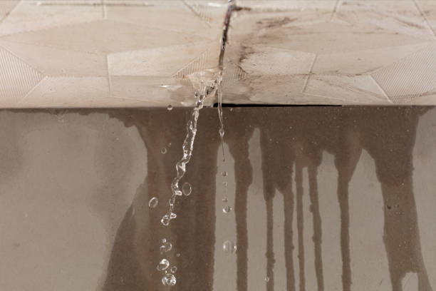 Professional Water Damage Restoration technician working in Nixon, TX